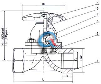EG11W內(nèi)螺紋隔膜閥 (結(jié)構圖)